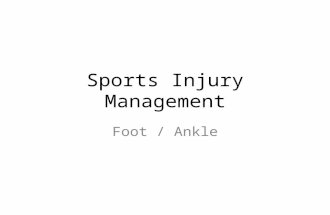 Sports Injury Management Foot / Ankle. Ankle Anatomy Tendon of the tibialis anterior muscle Extensor digitorum longus muscle Hallucis longus muscle Anterior.