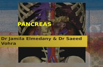 PANCREAS Dr Jamila Elmedany & Dr Saeed Vohra. OBJECTIVES By the end of this lecture the student should be able to : Describe the anatomical view of the.