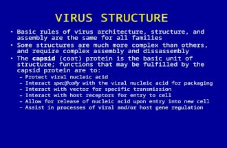 VIRUS STRUCTURE Basic rules of virus architecture, structure, and assembly are the same for all families Some structures are much more complex than others,