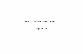 RNA Structure Prediction Chapter 16. Primary, Secondary and Tertiary Structures.