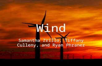 Wind Samantha Zrillo, Tiffany Culleny, and Ryan Phraner.