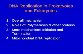 DNA Replication in Prokaryotes and Eukaryotes 1.Overall mechanism 2.Roles of Polymerases & other proteins 3.More mechanism: Initiation and Termination.