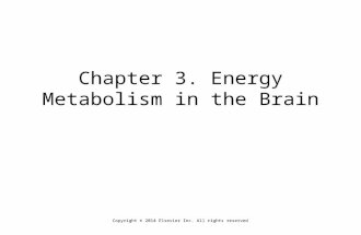 Chapter 3. Energy Metabolism in the Brain Copyright © 2014 Elsevier Inc. All rights reserved.