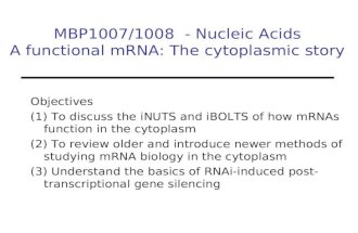 MBP1007/1008 - Nucleic Acids A functional mRNA: The cytoplasmic story Objectives (1) To discuss the iNUTS and iBOLTS of how mRNAs function in the cytoplasm.
