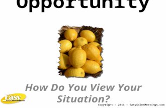 Opportunity… How Do You View Your Situation? Copyright – 2011 – EasySalesMeetings.com.