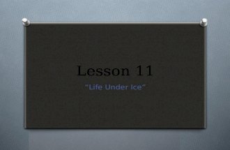 Lesson 11 “Life Under Ice”. Singular & Plural Nouns  To form the plural form of most nouns, add –s  Girl/girls  School/schools  Elephant/Elephants.