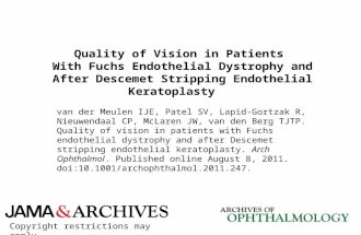 Quality of Vision in Patients With Fuchs Endothelial Dystrophy and After Descemet Stripping Endothelial Keratoplasty van der Meulen IJE, Patel SV, Lapid-Gortzak.