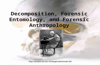 Decomposition, Forensic Entomology, and Forensic Anthropology mclaugh/skeleton8a.GIF.