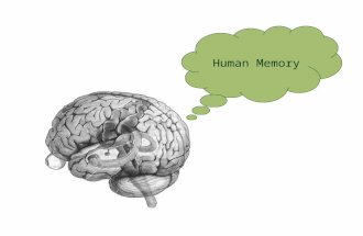 Human Memory. Part 1: D’you remember? Well, it depends…