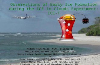 Observations of Early Ice Formation during the ICE in Clouds Experiment: ICE-T Andrew Heymsfield, NCAR, Boulder CO Paul Field, UK Met Office, Exeter, UK.