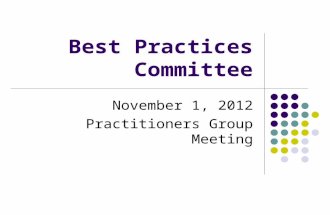 Best Practices Committee November 1, 2012 Practitioners Group Meeting.