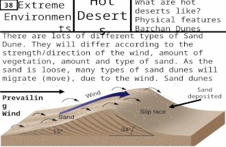 Extreme Environments What are hot deserts like? Physical features Barchan Dunes Hot Deserts Cross section There are lots of different types of Sand Dune.