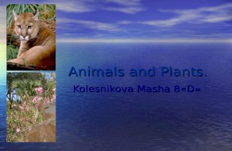 Animals and Plants. Kolesnikova Masha 8«D» Kolesnikova Masha 8«D»