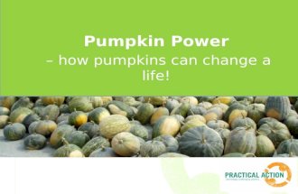 Title Pumpkin Power – how pumpkins can change a life!