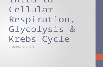 Intro to Cellular Respiration, Glycolysis & Krebs Cycle Chapter 9.1-9.3.