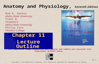 11-1 Anatomy and Physiology, Seventh Edition Rod R. Seeley Idaho State University Trent D. Stephens Idaho State University Philip Tate Phoenix College.
