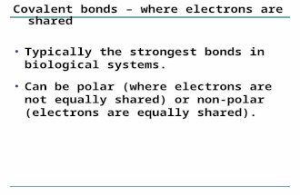 Covalent bonds – where electrons are shared Typically the strongest bonds in biological systems. Can be polar (where electrons are not equally shared)