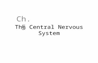 The Central Nervous System Ch. 5. Objectives Understand how the nervous system is organized Know the various cell types that are found in nervous tissue.