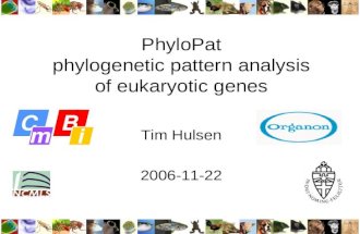 PhyloPat phylogenetic pattern analysis of eukaryotic genes Tim Hulsen 2006-11-22.