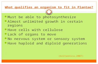 What qualifies an organism to fit in Plantae? Must be able to photosynthesize Almost unlimited growth in certain regions Have cells with cellulose Lack.