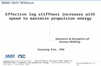 Effective leg stiffness increases with speed to maximize propulsion energy Dynamics & Energetics of Human Walking Seyoung Kim and Sukyung Park, “Leg stiffness.