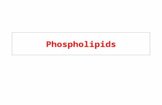 Phospholipids. Phospholipids & Glycolipids Phospholipids (PL) alcohol phosphodiester bridge PL are composed of an alcohol (ethanolamine, serine, choline,