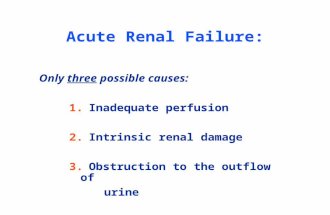 Acute Renal Failure: Only three possible causes: 1. Inadequate perfusion 2. Intrinsic renal damage 3. Obstruction to the outflow of urine.