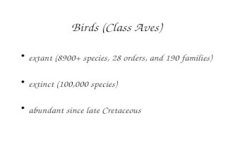 Birds (Class Aves) extant (8900+ species, 28 orders, and 190 families) extinct (100,000 species) abundant since late Cretaceous.