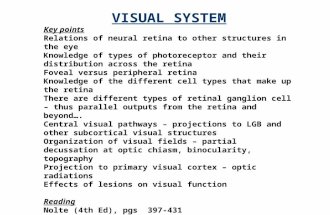VISUAL SYSTEM Key points Relations of neural retina to other structures in the eye Knowledge of types of photoreceptor and their distribution across the.