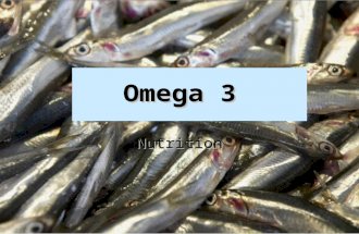 Omega 3 Nutrition. Omega-3 Omega-3 fatty acids are considered essential fatty acids: Omega-3 fatty acids are considered essential fatty acids: They are.
