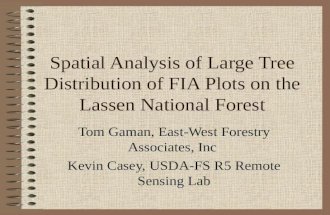 Spatial Analysis of Large Tree Distribution of FIA Plots on the Lassen National Forest Tom Gaman, East-West Forestry Associates, Inc Kevin Casey, USDA-FS.