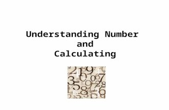 Understanding Number and Calculating. Understanding number is the underpinning of all Maths. It develops:  an understanding of place value  a sense.