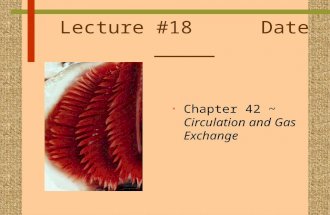 Lecture #18 Date _____ Chapter 42 ~ Circulation and Gas Exchange.
