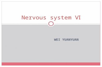 WEI YUANYUAN Nervous system Ⅵ. Intellectual function of the brain Learning.