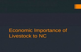 Economic Importance of Livestock to NC. Livestock in NC  Notable Areas of livestock production in NC  Hogs  Broilers  Turkeys  Beef Cattle (some)