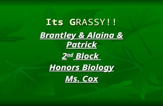 Its GRASSY!! Brantley & Alaina & Patrick 2 nd Block Honors Biology Ms. Cox.