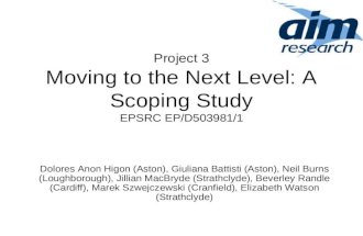 Project 3 Moving to the Next Level: A Scoping Study EPSRC EP/D503981/1 Dolores Anon Higon (Aston), Giuliana Battisti (Aston), Neil Burns (Loughborough),