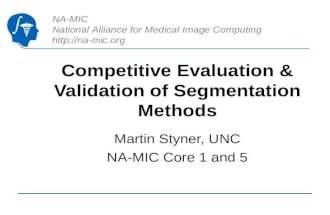 NA-MIC National Alliance for Medical Image Computing  Competitive Evaluation & Validation of Segmentation Methods Martin Styner, UNC NA-MIC.