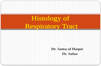 Dr. Sama ul Haque Dr. Safaa Histology of Respiratory Tract.