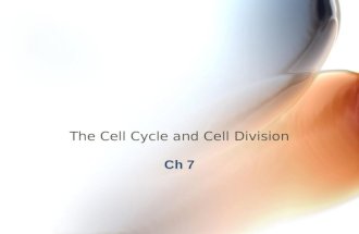 The Cell Cycle and Cell Division Ch 7. Chapter 7 The Cell Cycle and Cell Division Key Concepts 7.1 Different Life Cycles Use Different Modes of Cell Reproduction.