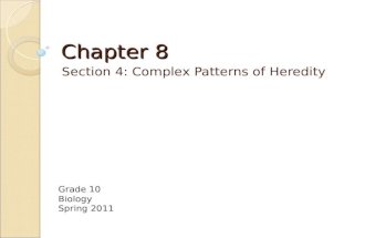 Chapter 8 Section 4: Complex Patterns of Heredity Grade 10 Biology Spring 2011.