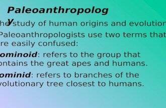 Paleoanthropology -The study of human origins and evolution -Paleoanthropologists use two terms that are easily confused: Hominoid: refers to the group.
