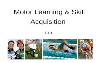 Motor Learning & Skill Acquisition 19.1. Basic Principles of Motor Learning and Skill Acquisition The more we perform a skill, the better we get at it.