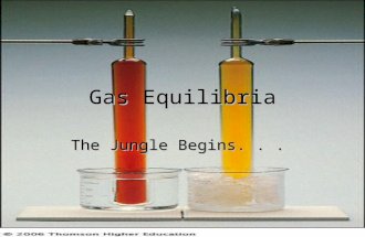 Gas Equilibria The Jungle Begins.... What is Equilibrium?  Reaction is reversible  Both products and reactants are present  Forward and reverse reactions.