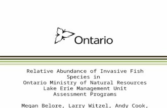 Relative Abundance of Invasive Fish Species in Ontario Ministry of Natural Resources Lake Erie Management Unit Assessment Programs Megan Belore, Larry.
