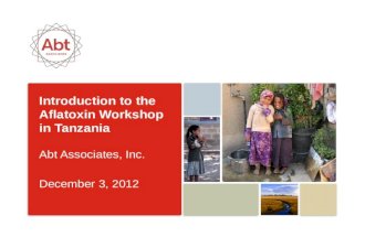 Introduction to the Aflatoxin Workshop in Tanzania Abt Associates, Inc. December 3, 2012.