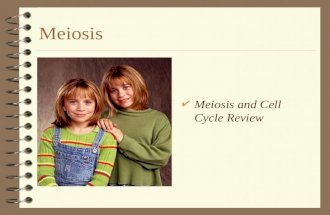 Meiosis 4 Meiosis and Cell Cycle Review. Engage 4 The Meiosis Dance.