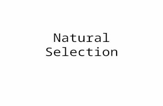 Natural Selection Natural Selection – “Survival of the Fittest” Survive : When things around you die and you remain alive Fitness: Any adaptation which.