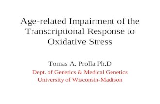 Age-related Impairment of the Transcriptional Response to Oxidative Stress Tomas A. Prolla Ph.D Dept. of Genetics & Medical Genetics University of Wisconsin-Madison.