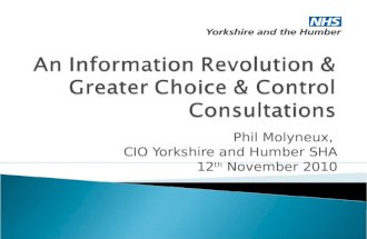 Phil Molyneux, CIO Yorkshire and Humber SHA 12 th November 2010.